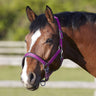 Bitz Deluxe Padded Headcollar Headcollars & Lead Ropes Small Pony Pink Barnstaple Equestrian Supplies