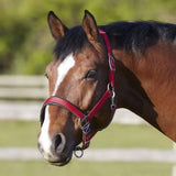 Bitz Deluxe Padded Headcollar Small Pony Red Headcollars Barnstaple Equestrian Supplies