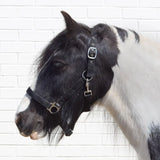 Bitz Economy Headcollar Pony Black Headcollars Barnstaple Equestrian Supplies