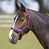 Bitz Everyday Adjustable Headcollar Pony Black Headcollars Barnstaple Equestrian Supplies