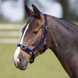 Navy blue nylon bitz everyday adjustable headcollar with silver buckles and polypropylene for daily use