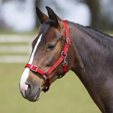 Red nylon bitz everyday adjustable headcollar with silver buckles and rings durable polypropylene headcollar