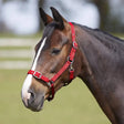 Bitz Everyday Adjustable Headcollar Pony Red Headcollars Barnstaple Equestrian Supplies