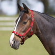 A red nylon bitz everyday adjustable headcollar with silver buckles and rings perfect as an everyday adjustable headcollar