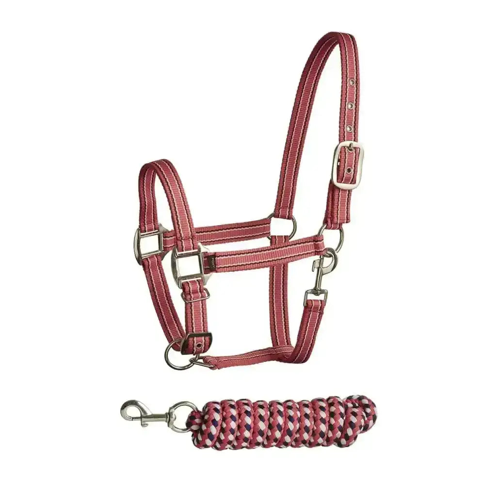 Maroon reflective bitz stripe two tone headcollar with silver hardware and matching braided lead rope for horses