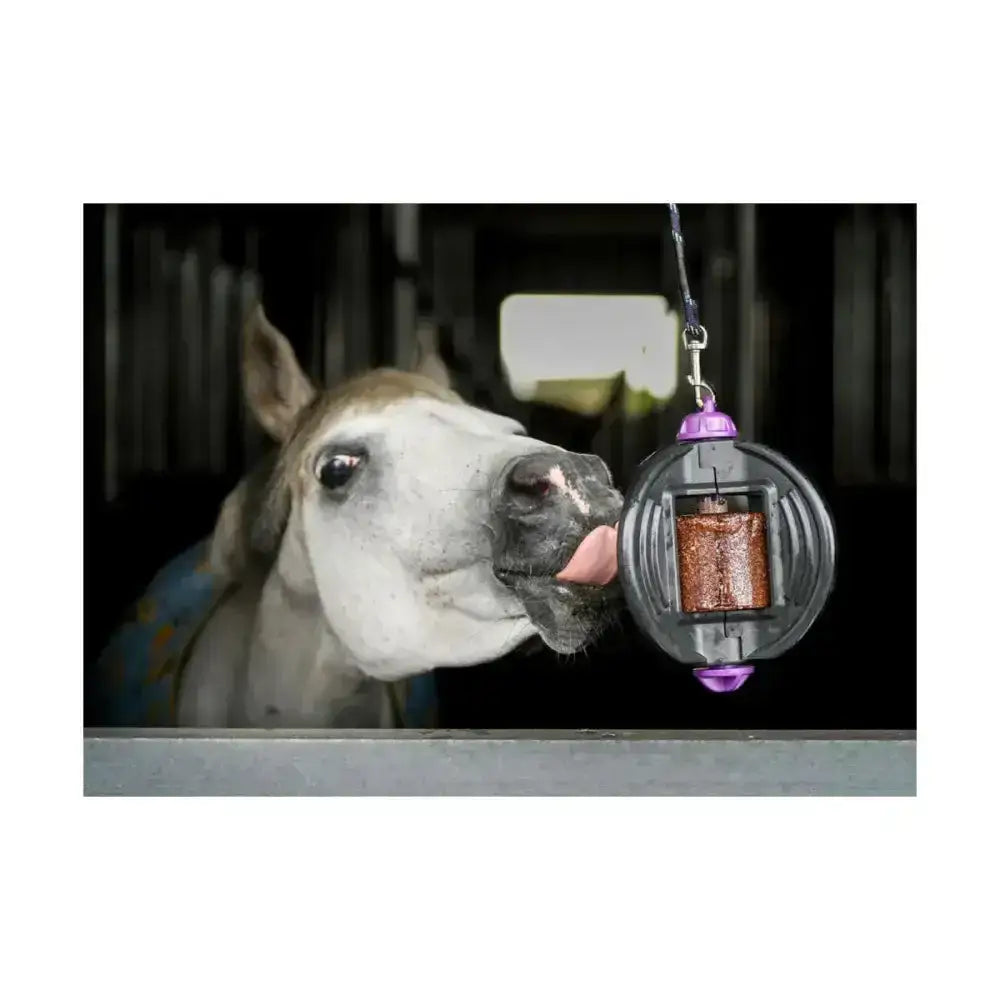 Bizzy ball complete purple and clear plastic hanging horse feeder with glittery brown treat compartment and aromatherapy mint sponges