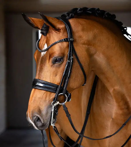 Black leather horse bridle with braided mane and silver hardware.