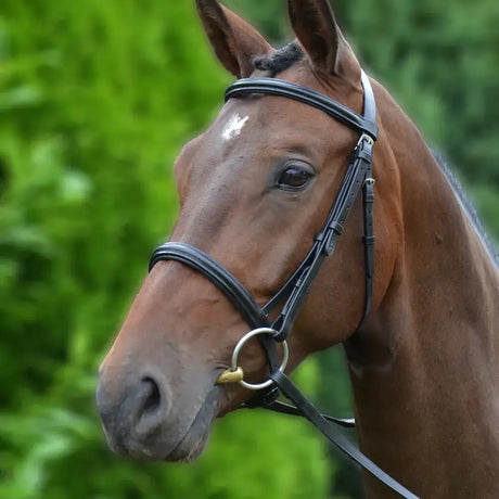 Black leather horse bridle with silver metal hardware.