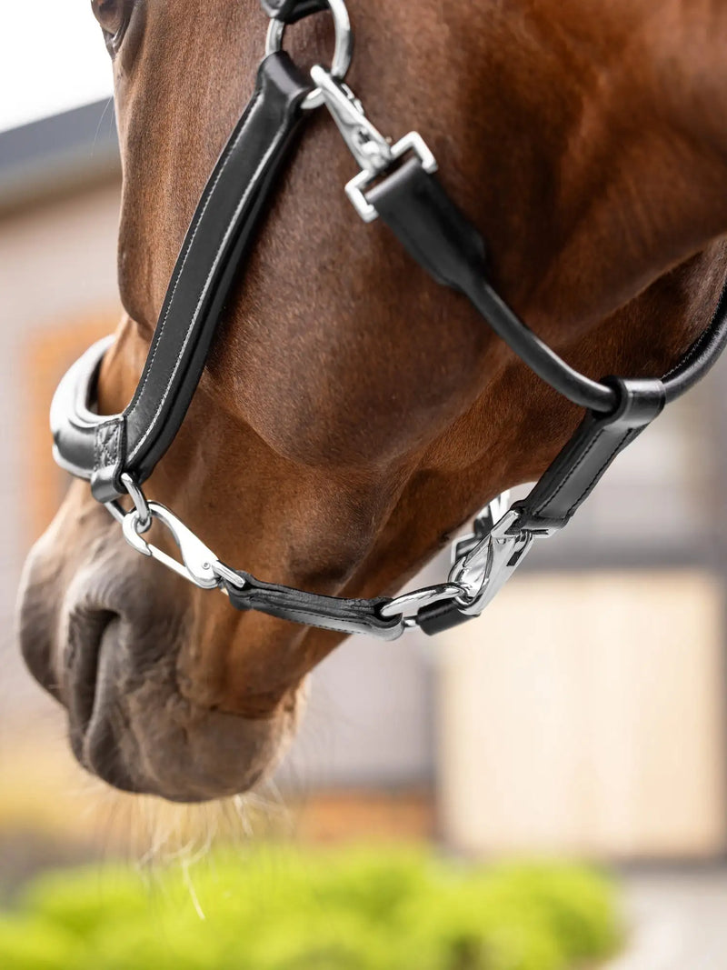 Black leather horse halter with silver-toned metal hardware and a chain link design.