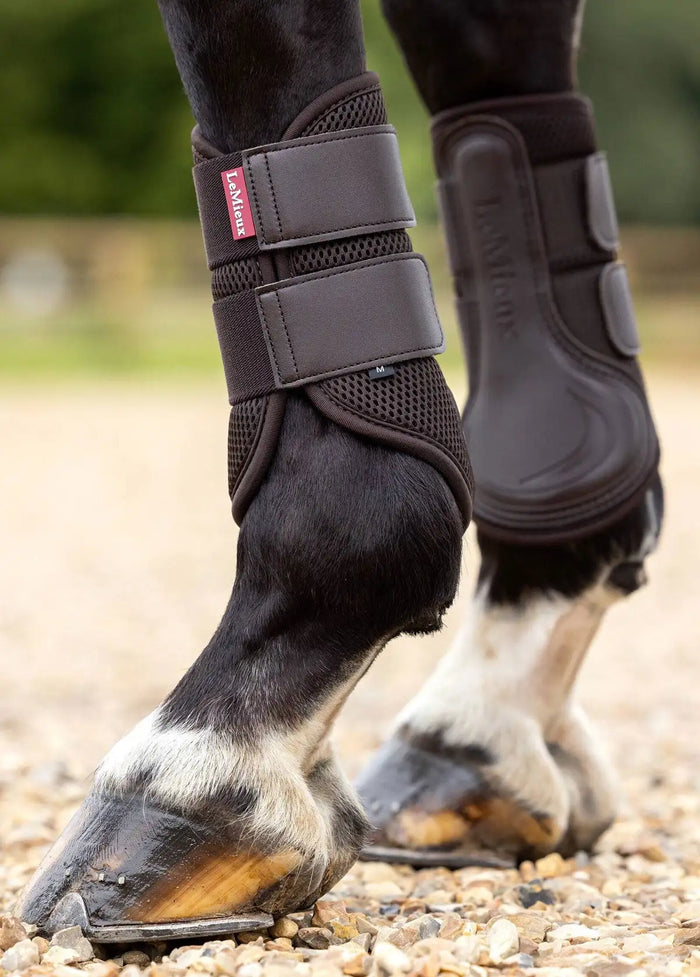 Black luvlyears horse boot with mesh panels and adjustable straps.
