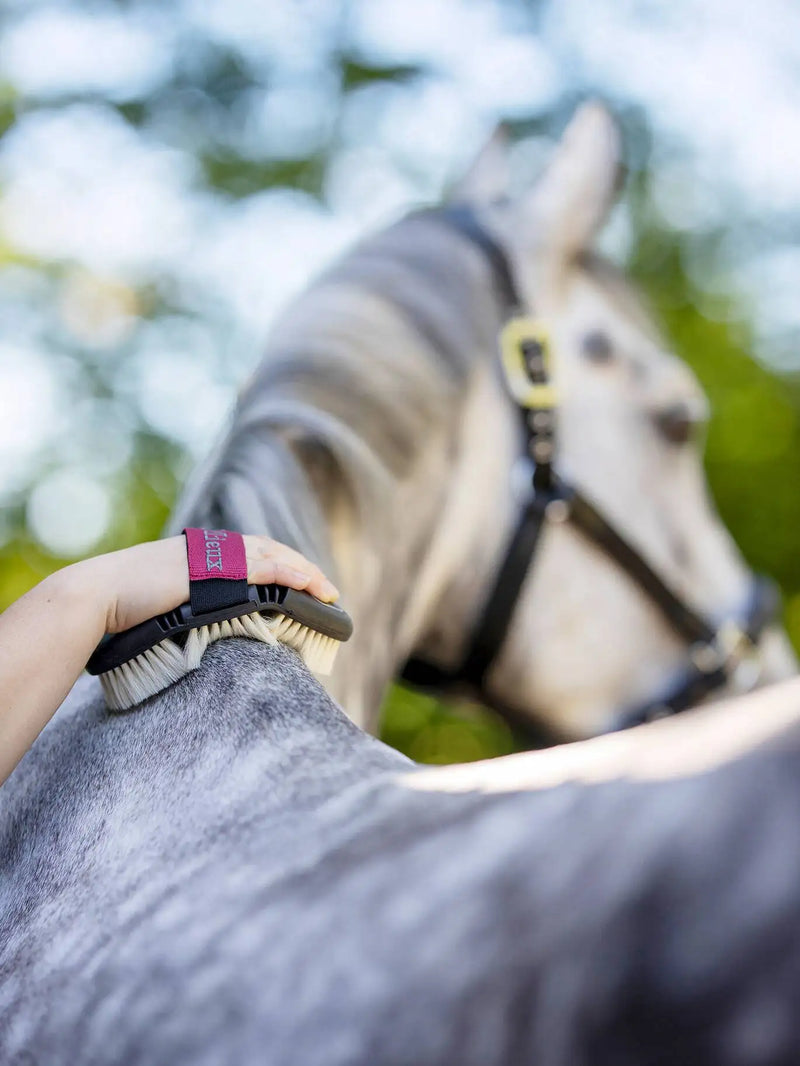 A black and maroon horse brush with white bristles, featuring a branded strap.