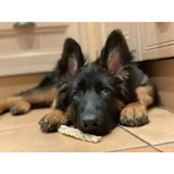 Braided Lamb 100g Dog Treats