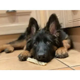 A fluffy black and tan german shepherd puppy lies on tiles holding a light beige braided lamb rope toy with rabbit ears
