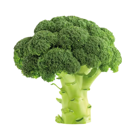 Broccoli vegetables
