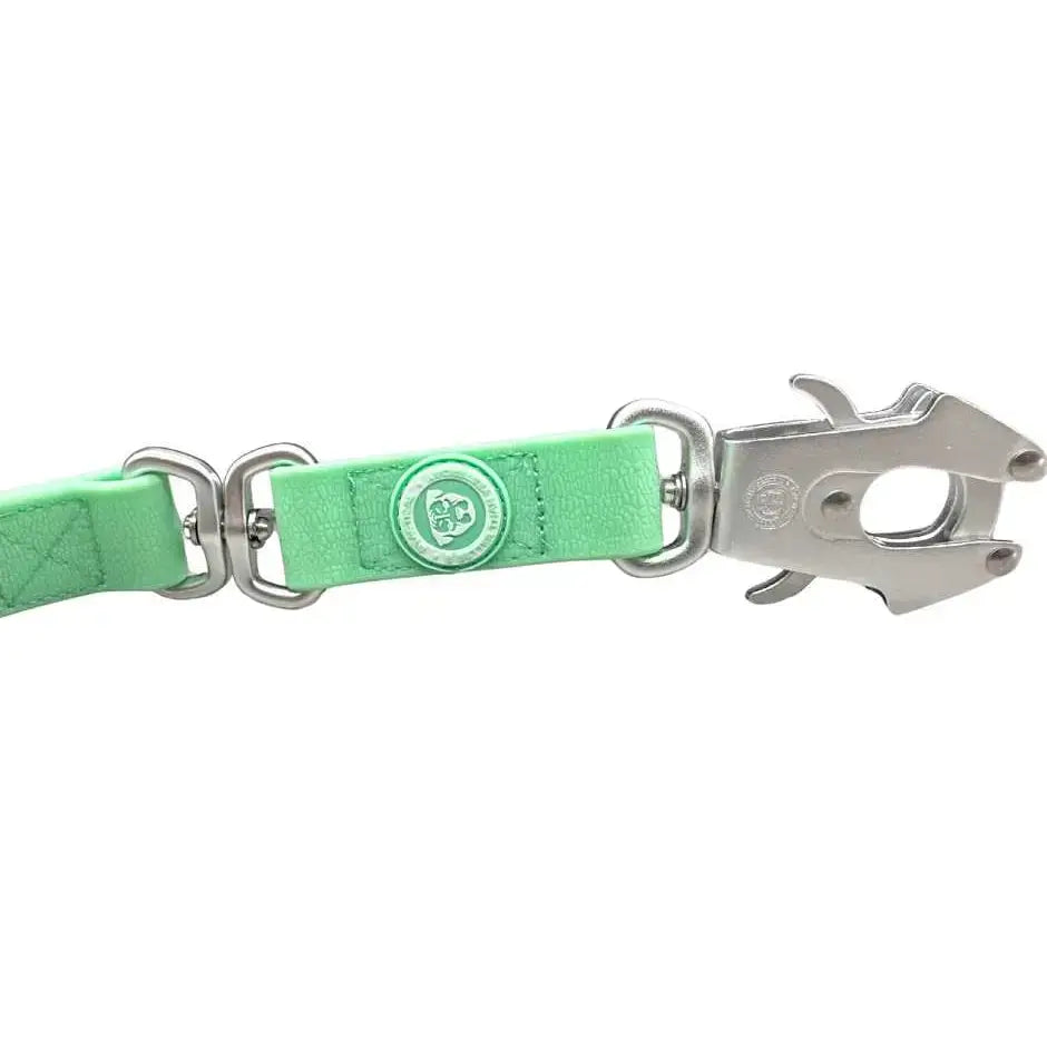 A mint green btactical lead made of leather with silver pvc frog clip and anti-tangle swivel buckle for dogs