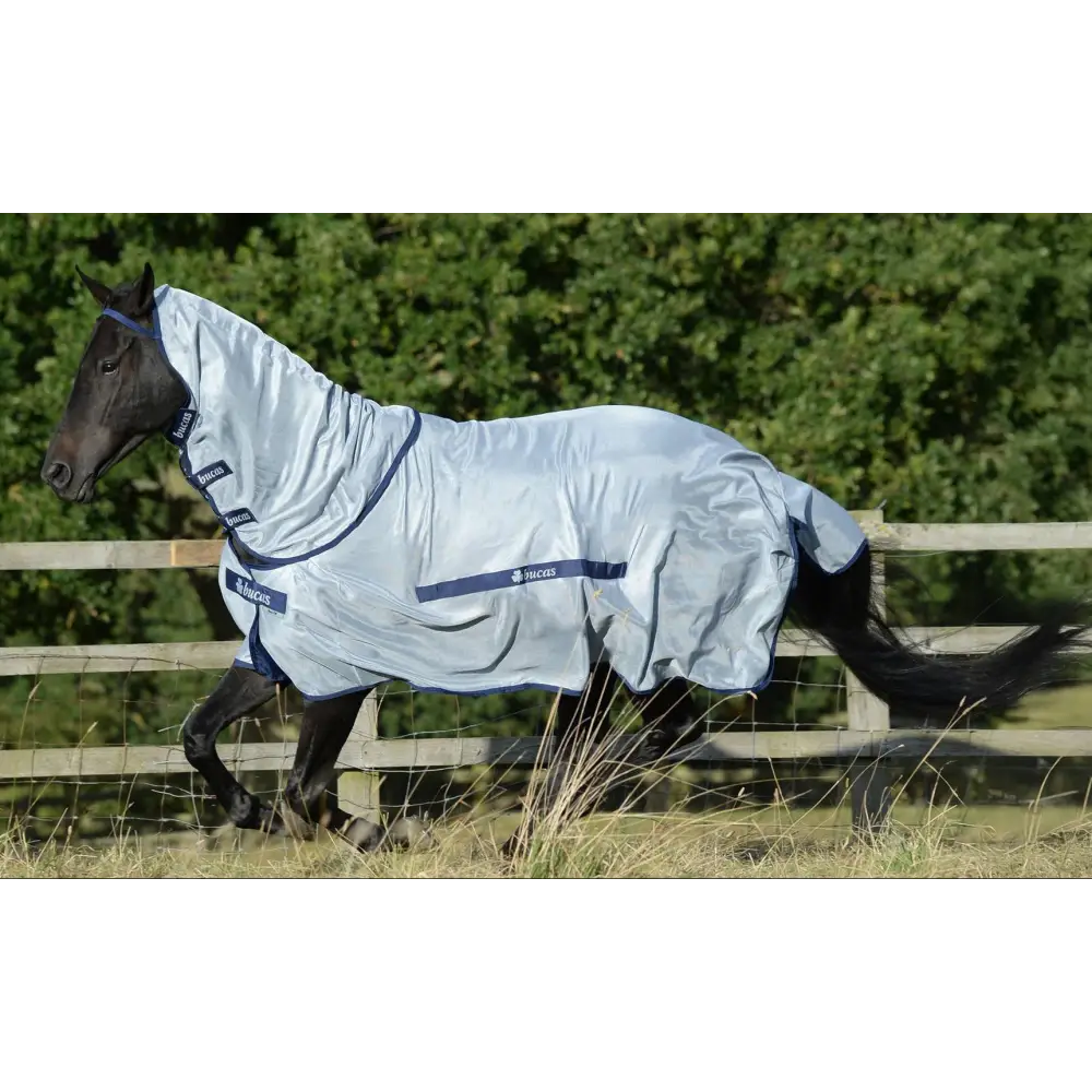 Bucas Buzz Off Fly Rug Detachable Neck Silver/Blue 5'6 (125) Fly Rugs