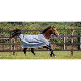 Brown horse wearing light gray bucas buzz off fly rug with blue trim made of fine mesh fabric and heat reflective rugs