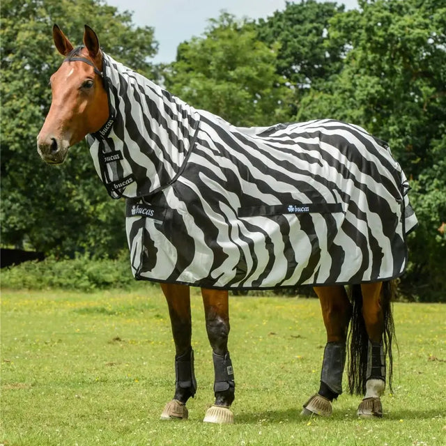 Black and white zebra fly rug for horses and ponies with bucas buzz branding made from breathable mesh fabric