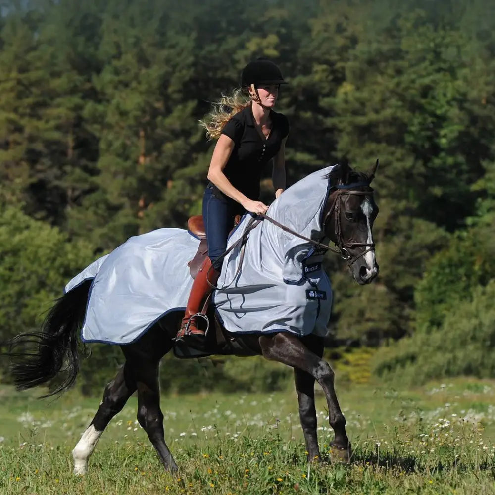 Light gray bucas buzz off riding rug with dark blue trim on black horse for sweet itch protection two-part mesh rug