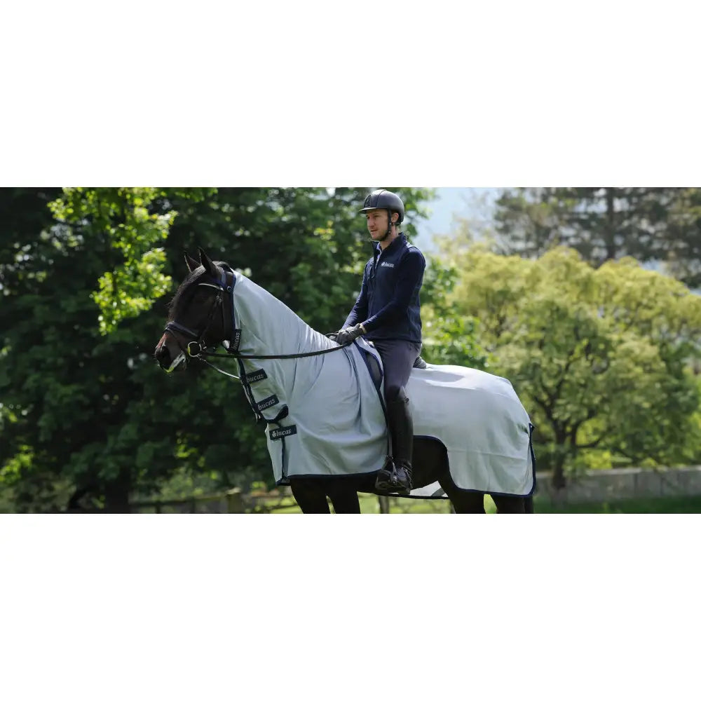 White horse wearing a bucas buzz off two-part mesh rug with black straps designed for sweet itch protection