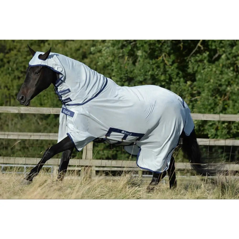 Light gray bucas buzz off x fly sheet with navy trim and shoulder darts for sweet itch protection on horses and ponies
