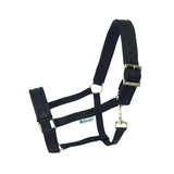Black bucas comfort halter with leather accents padded noseband and silver shaped ring metal hardware