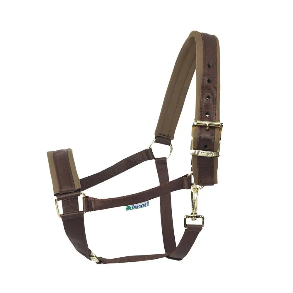 Brown leather bucas comfort halter with padded noseband brass hardware shaped ring and adjustable straps