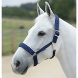 Navy blue leather bucas comfort halter with padded noseband and gold toned shaped ring hardware