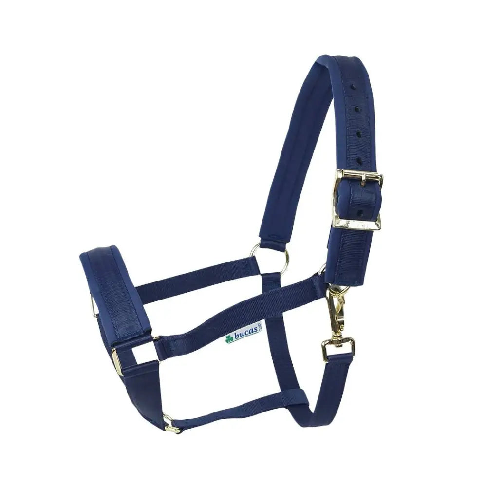Navy blue bucas comfort halter with padded noseband and gold-tone shaped ring metal hardware for horses