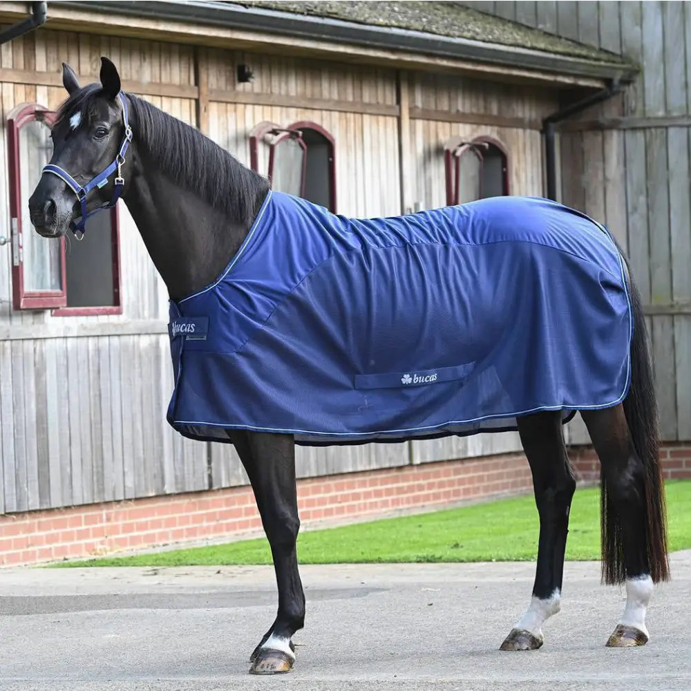 Blue durable bucas competition cooler horse blanket with white stitching and fly mesh fabric stay dry lining
