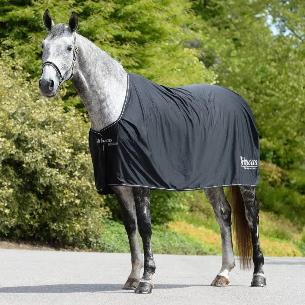 Black lucas Bucas Panel Prize cooler horse blanket with white trim and brand logo featuring removable panel