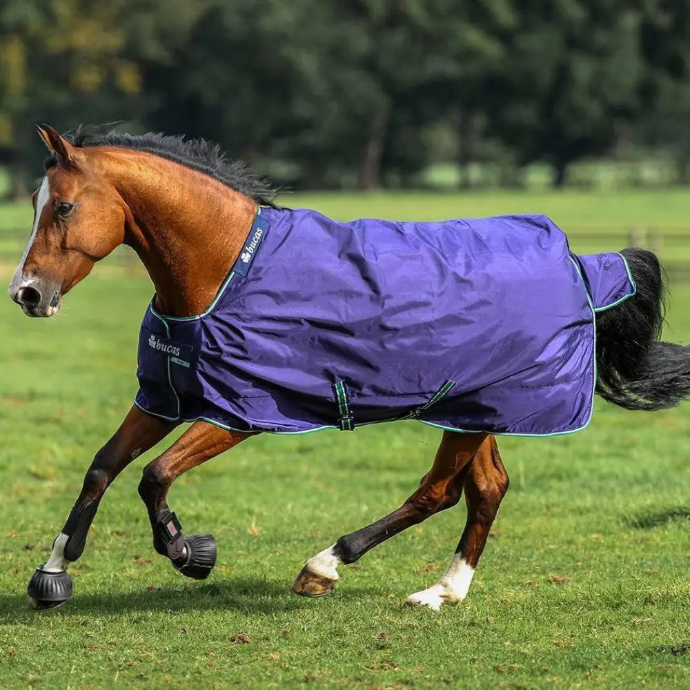 Purple bucas smartex rain sheet pony with stay-dry fleece and thermobonded polyester wadding and teal trim