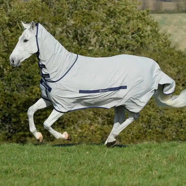 Light gray Bucas sweet itch fly rug with navy trim and snap-lock magnetic closures for heat reflective horse protection