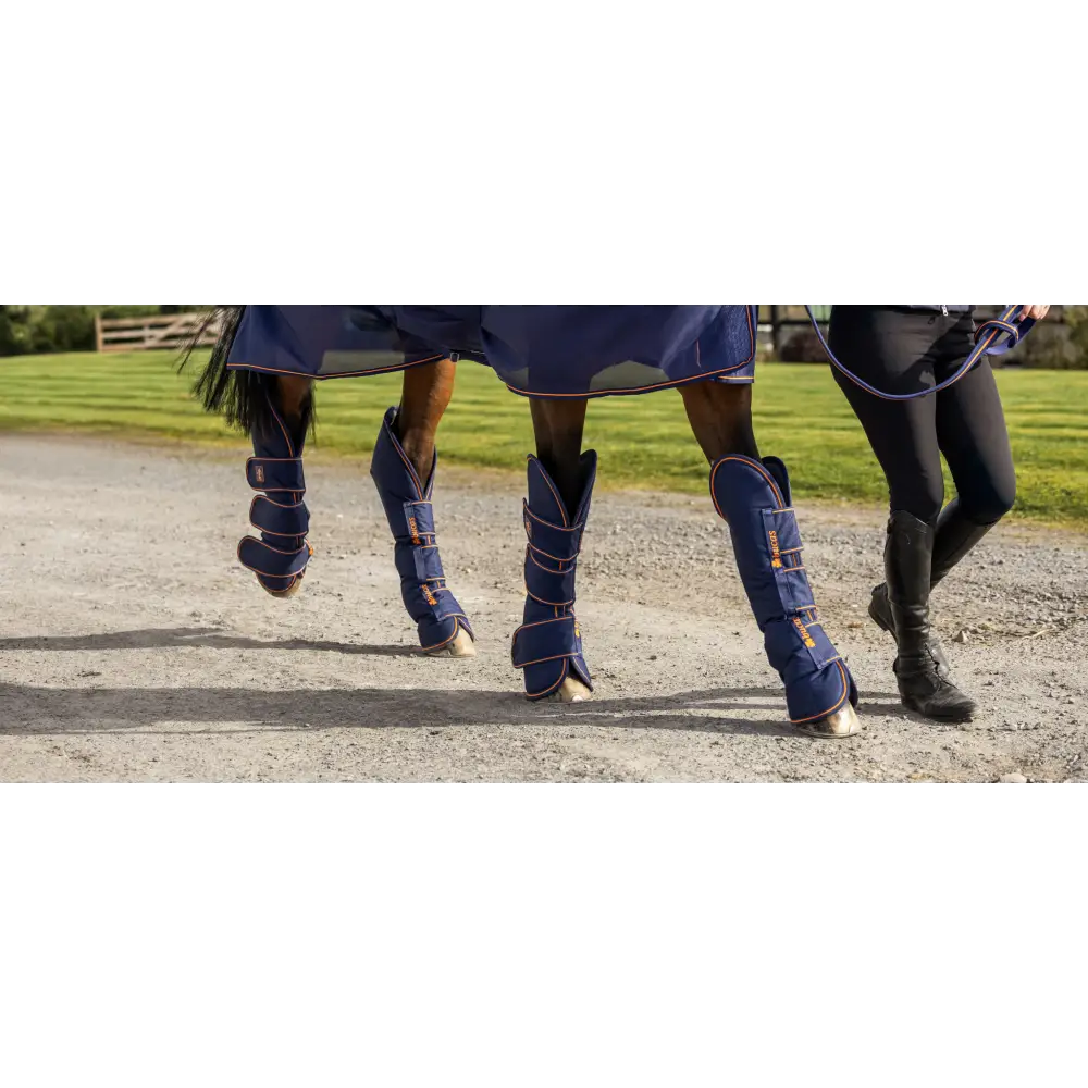 Bucas Therapy Travel Boots Navy/Orange Cob Horse Travel Boots
