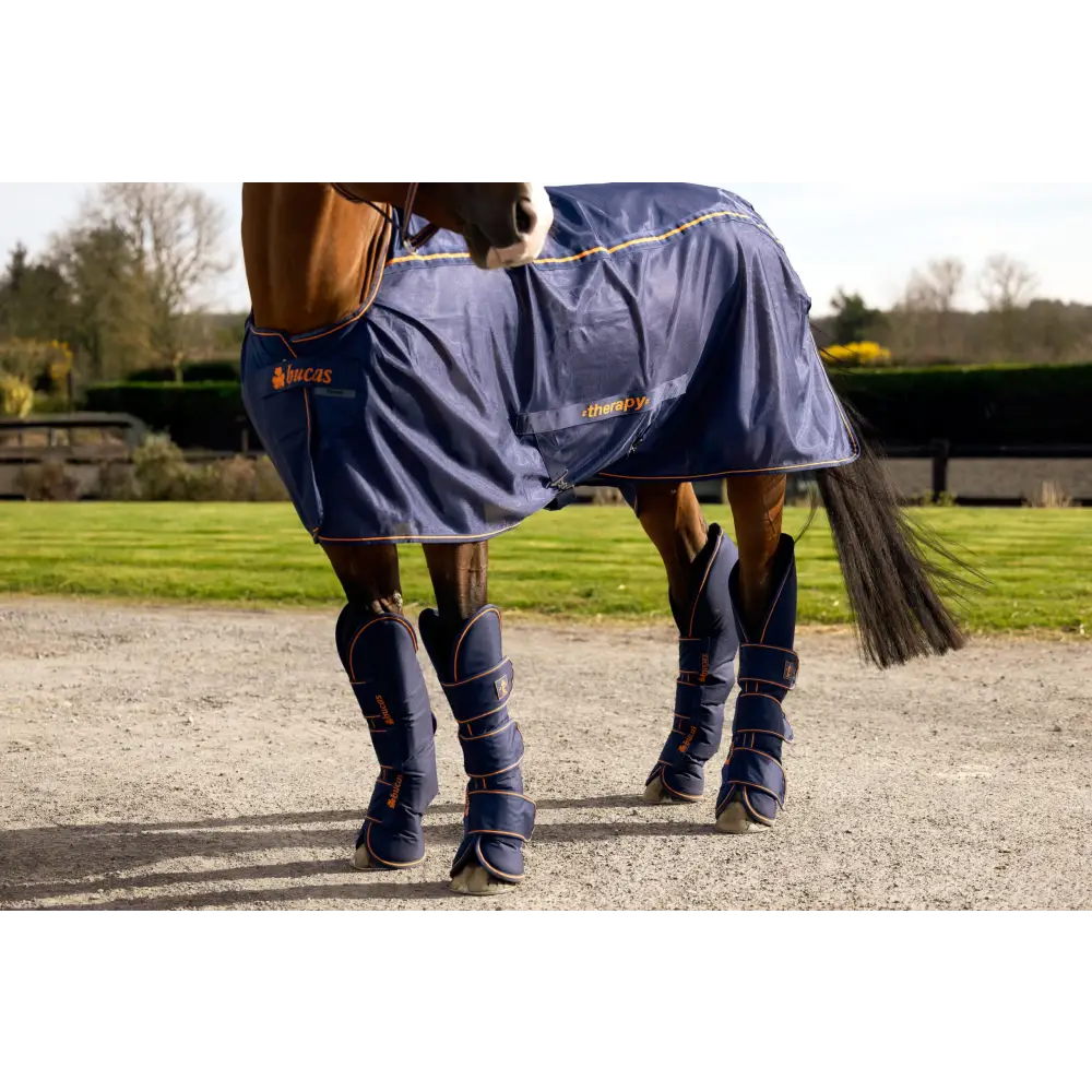 Bucas Therapy Travel Boots Navy/Orange Cob Horse Travel Boots