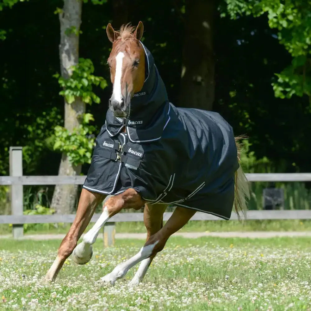 Black bucas trot turnout rug 200g with white trim, multiple straps, silk-feel lining for weather protection