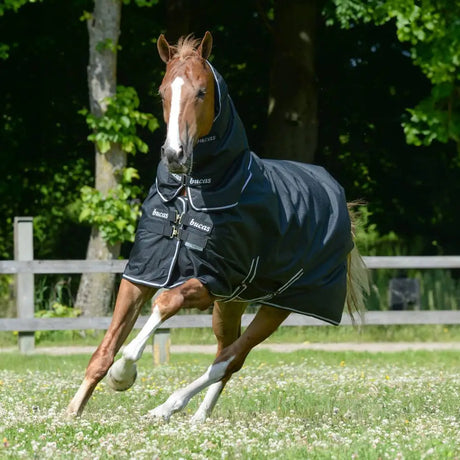 Bucas Trot Turnout Rug 50g Standard Neck Black/White 5'0 (115) Turnout Rugs