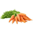 Carrots From Our Little Farm Shop Bunch vegetables