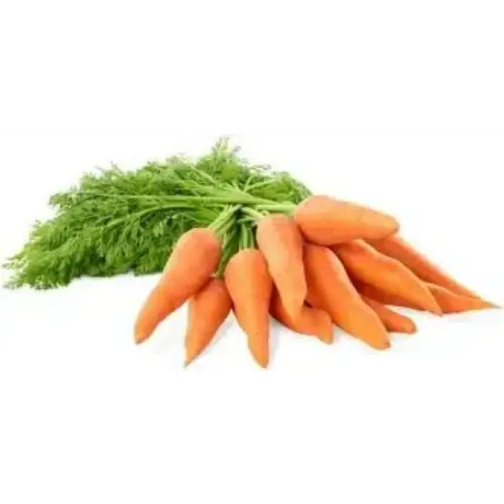Carrots From Our Little Farm Shop Bunch vegetables