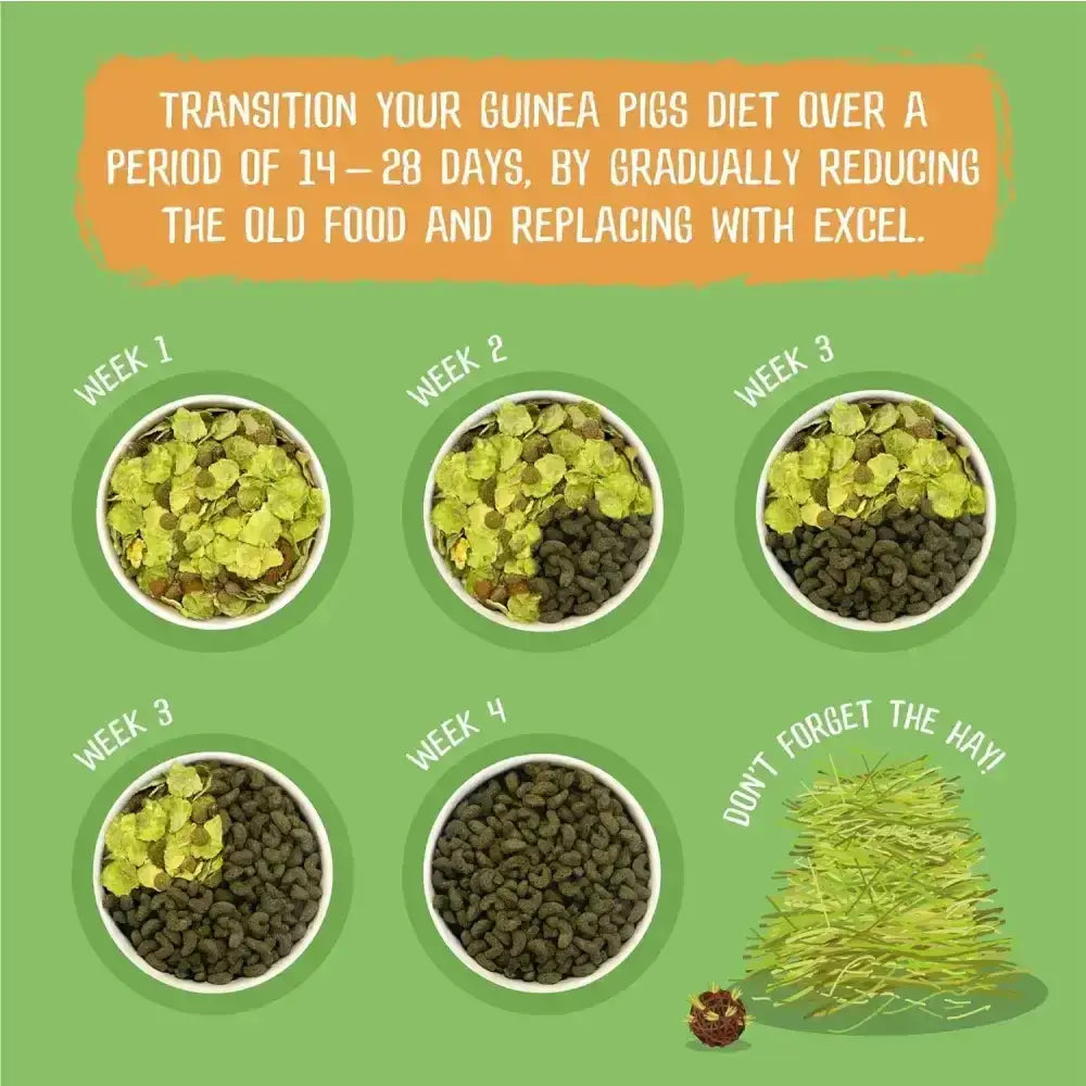 Illustrated burgess excel guinea pig food transition chart with weekly portions of green veggies and guinea pig nuggets