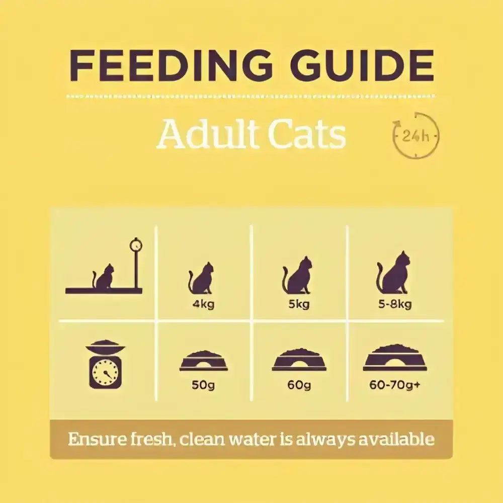 Yellow feeding guide for burgess supa cat adult chicken showing weight-based portion sizes for tasty burgess adult cats