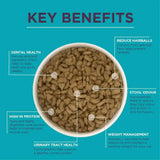 A white ceramic bowl filled with brown kibble pellets of burgess supa cat neutered cat food for neutered cats