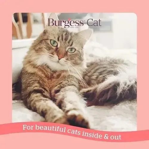 Burgess Supa Cat Scottish Salmon 1.5kg Cat Food