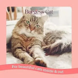 Burgess Supa Cat Scottish Salmon 1.5kg Cat Food