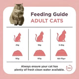 A fluffy brown tabby cat sits beside a pink feeding guide for tasty burgess adult burgess supa cat scottish salmon