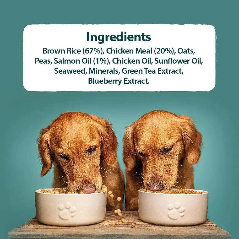 Cream-colored ceramic dog food bowls with embossed paw prints for burns alert chicken dog feeding use