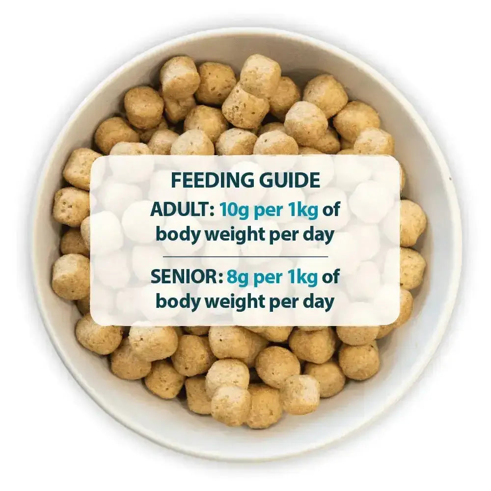 Light brown round kibble pellets of burns alert chicken dog food packed with amino acids hydrate in white bowl