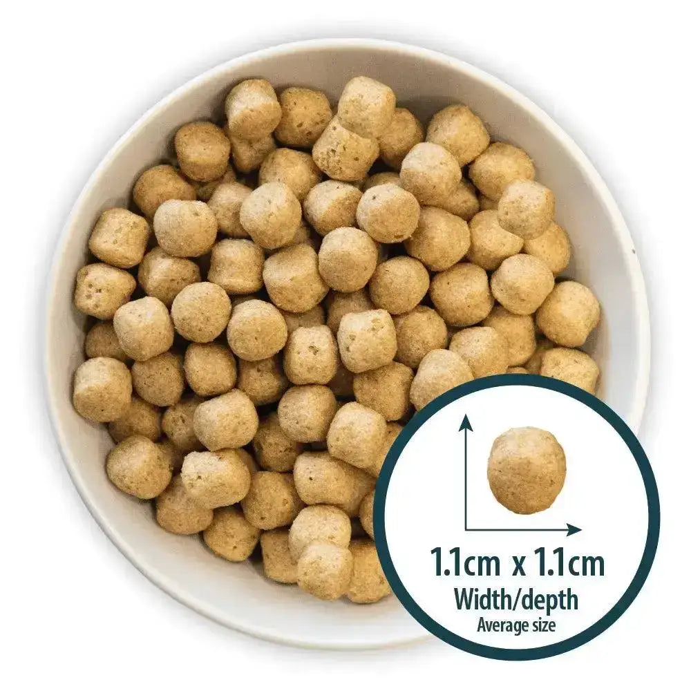 A white bowl filled with tan round pet food pellets from burns alert chicken dog food with amino acids hydrate benefits