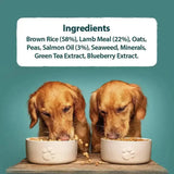 Burns Alert Lamb Dog Food 2kg Dog Food