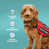 Burns Alert Lamb Dog Food 2kg Dog Food